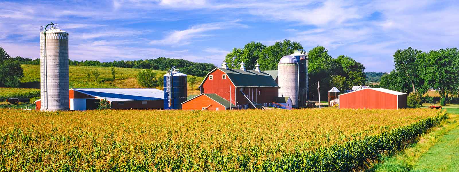 Farm landscape